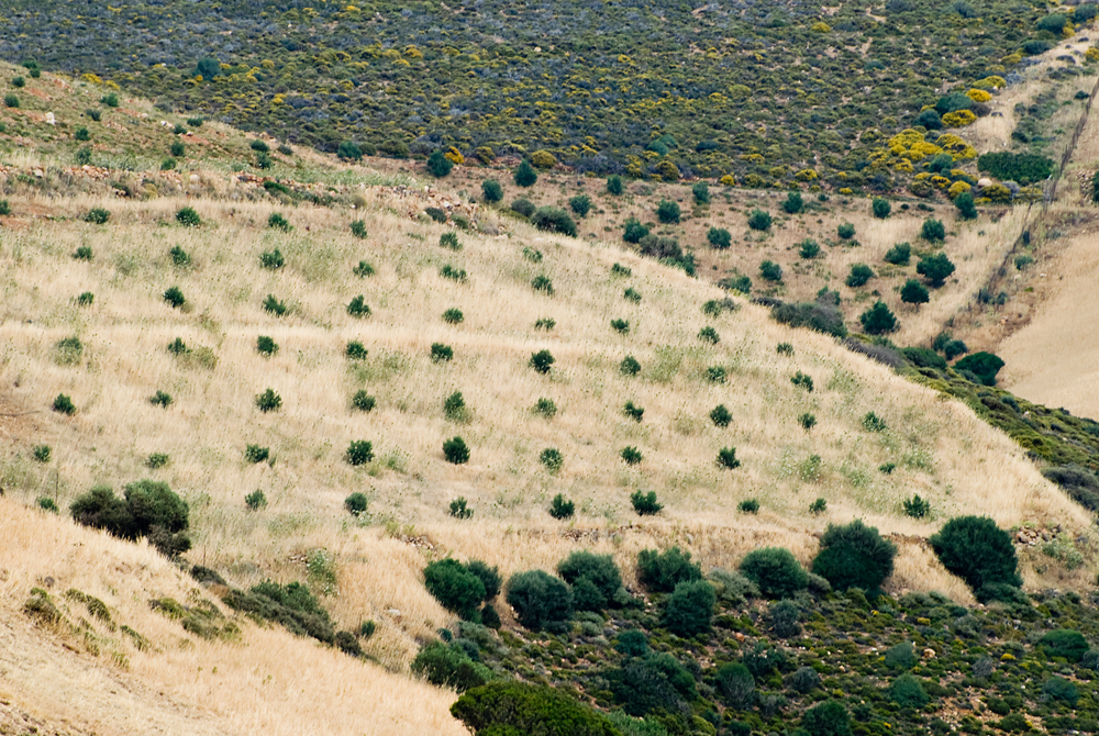 238_Kreta Wschodnia.jpg